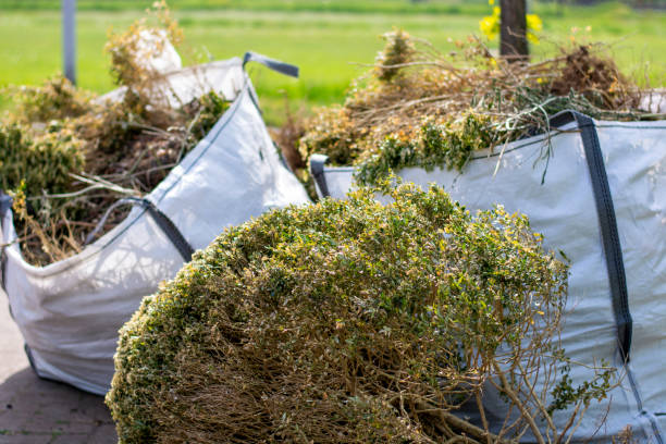 Shed Removal